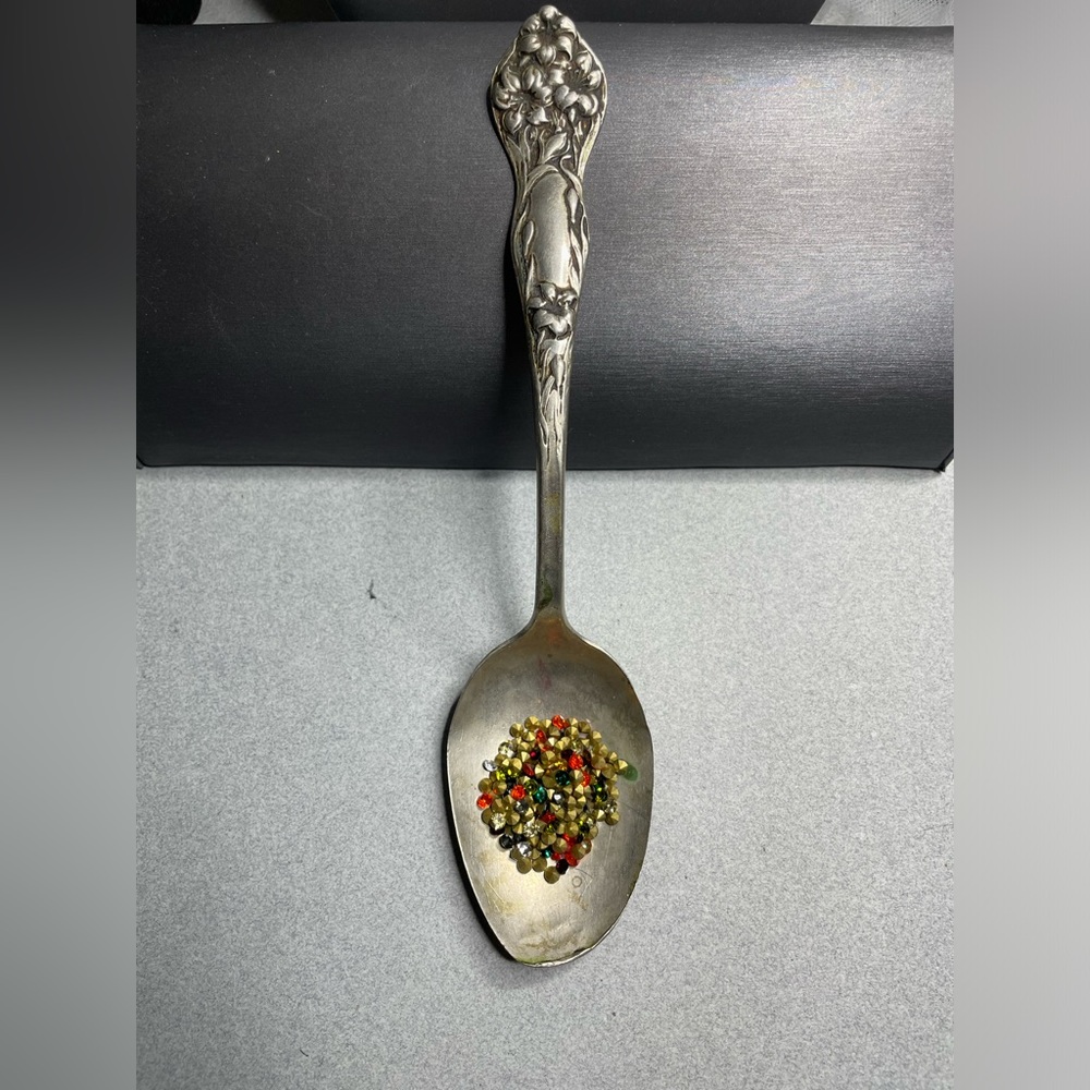 Lilyta 1909 Antique Silver Plt Stratford Co AXI Large Spoon Reseller Photo Prop
